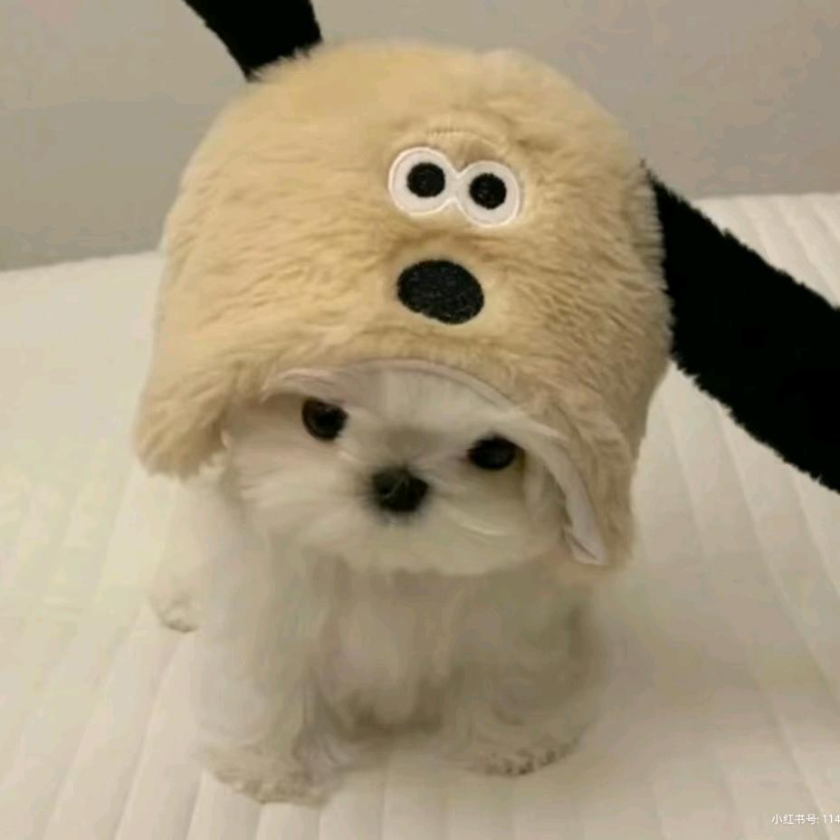 专享惊喜
