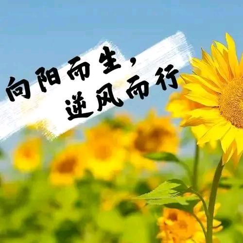 向阳而生