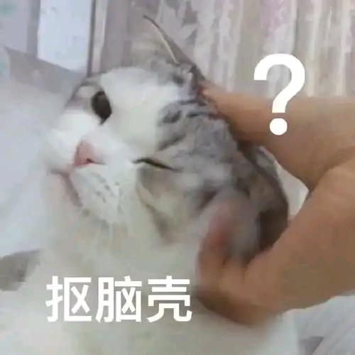 人间小爆躁