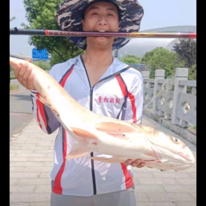 松哥的四个菜