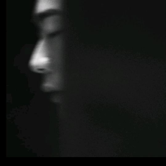 是宇不是鱼