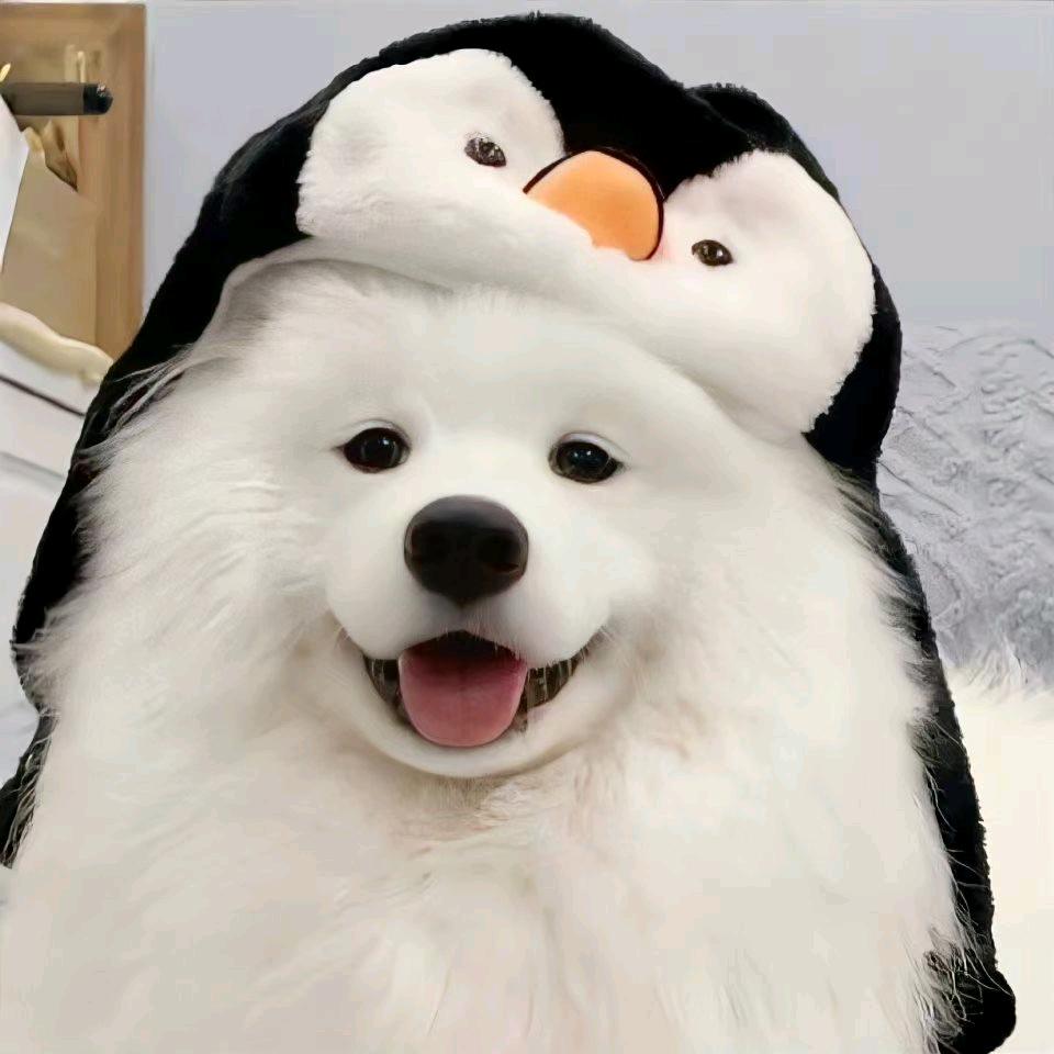 小七、