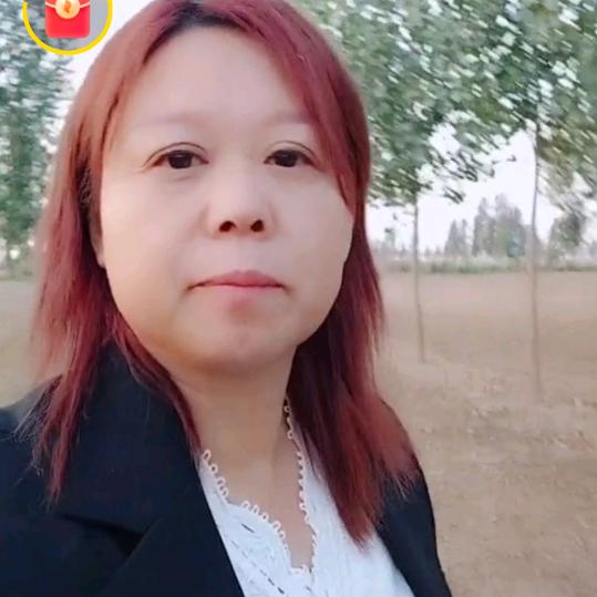 白牡丹