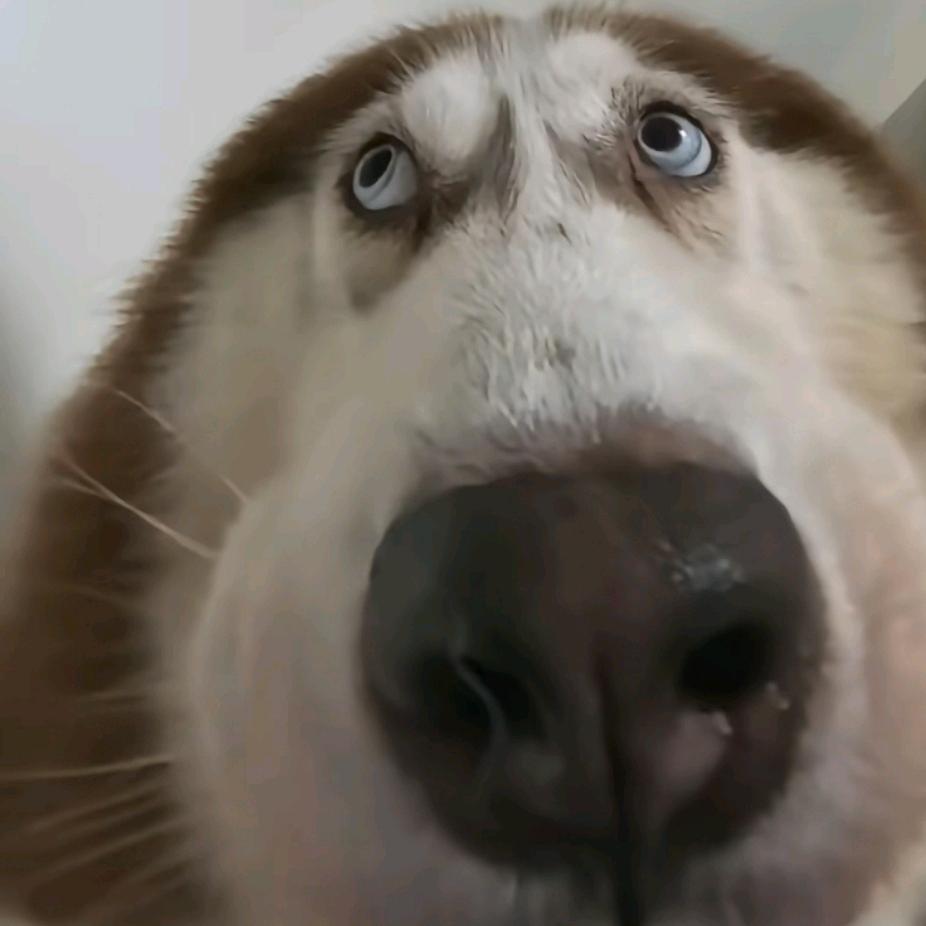 换个称呼