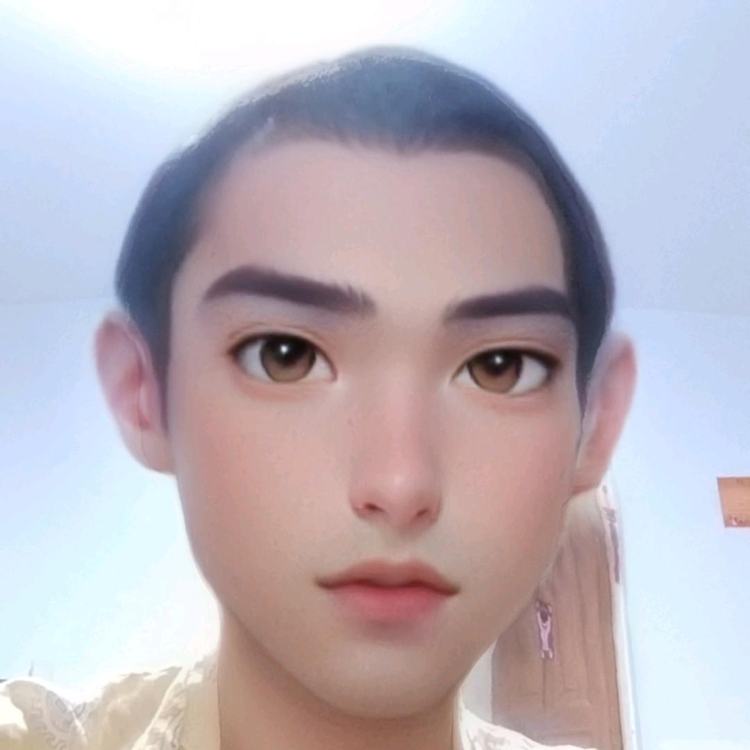 北方骑士