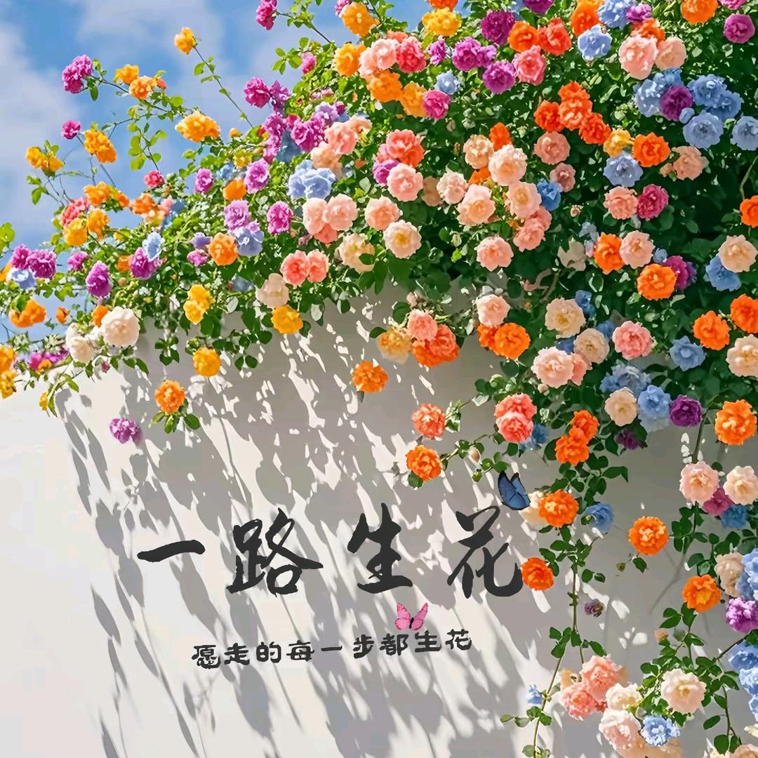 青春时光回头看