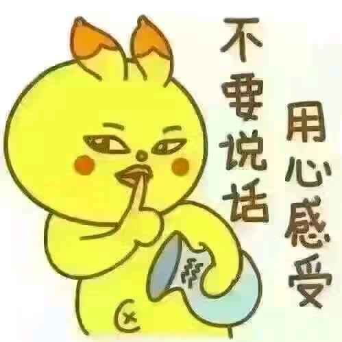 蓟州王猛15222220520