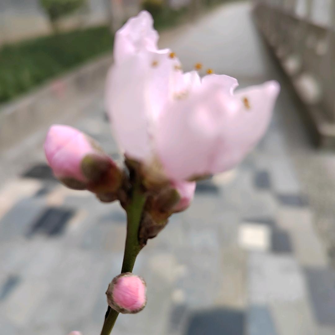 无味的人生
