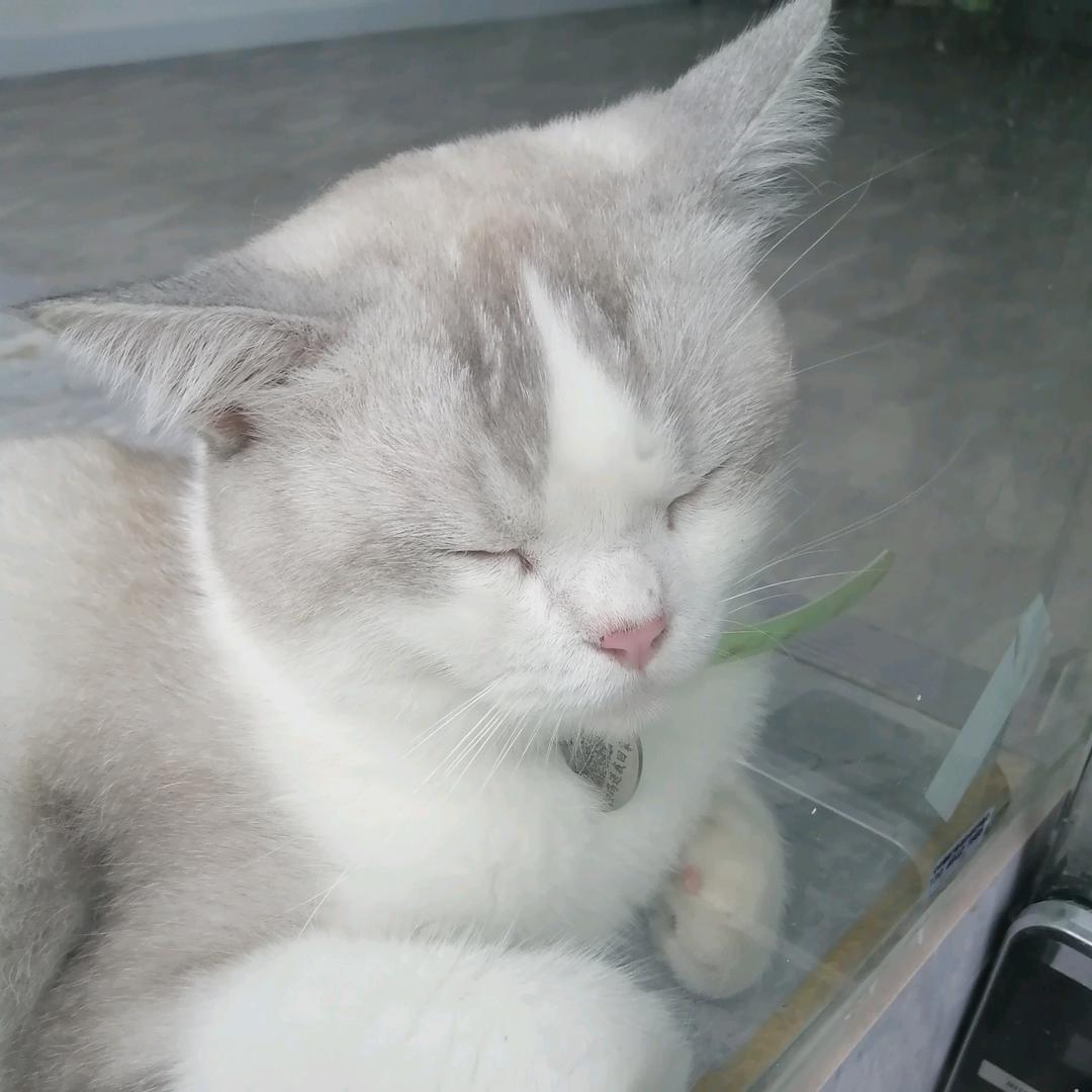 不吃香菜的静香同学头像