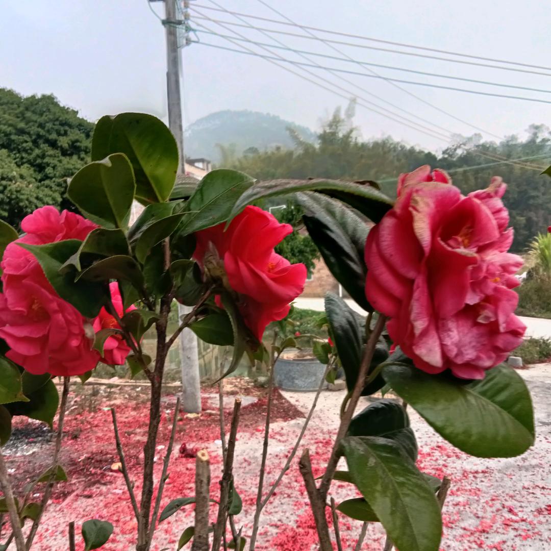 想念你的人