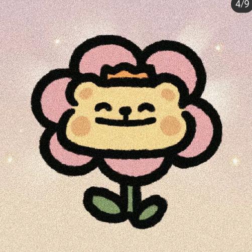 太阳花花花花花花