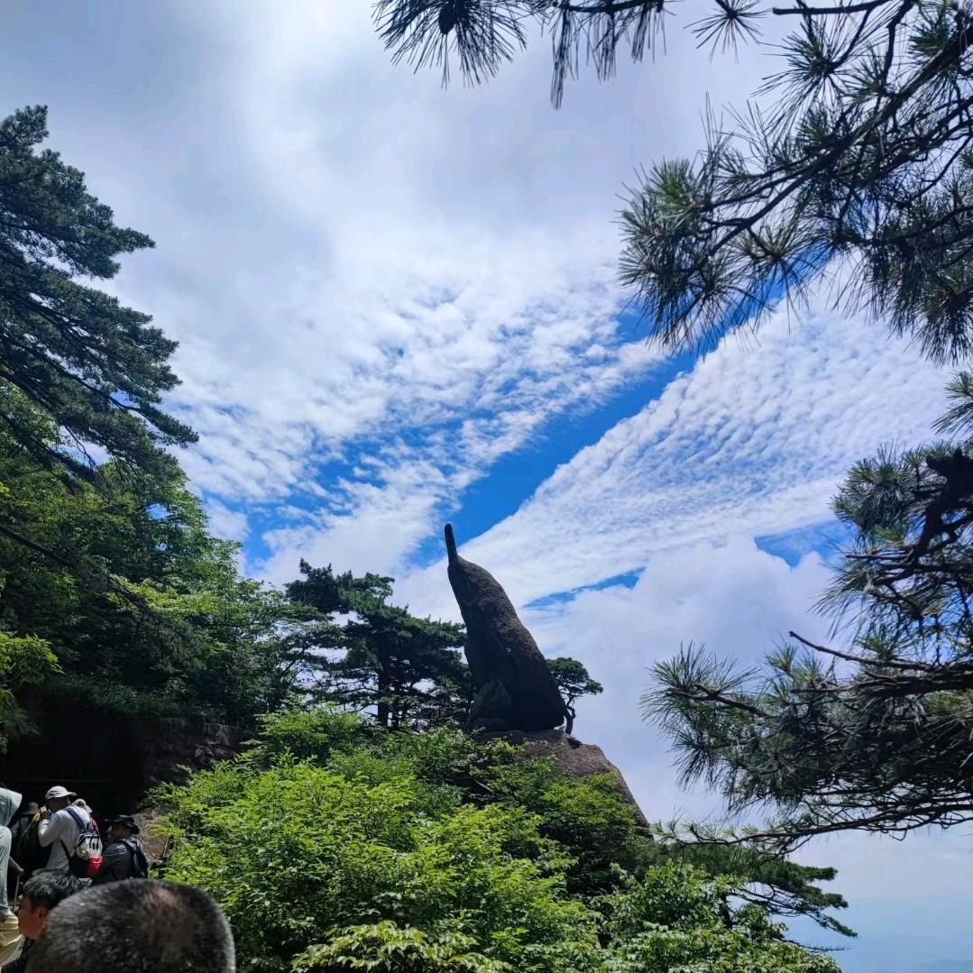 安安的大幸福