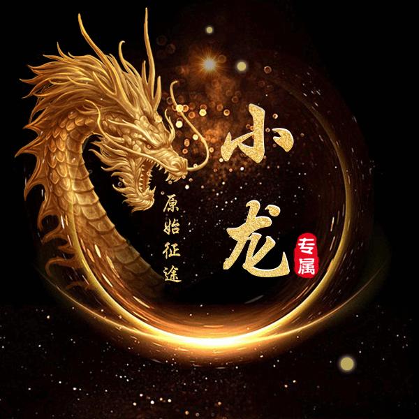 原始征途小龙