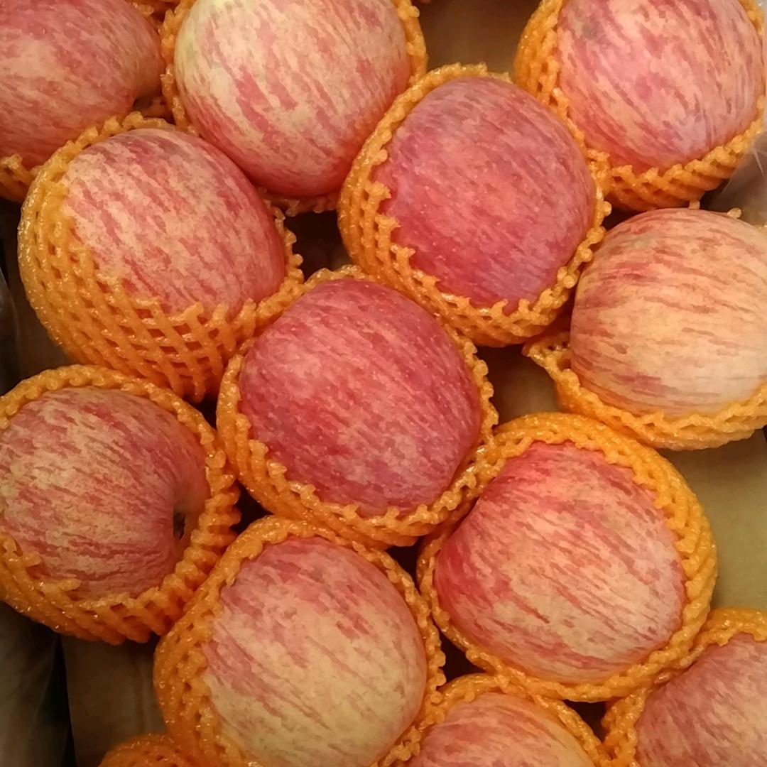 无心〔主要经营批发西部各种苹果〕