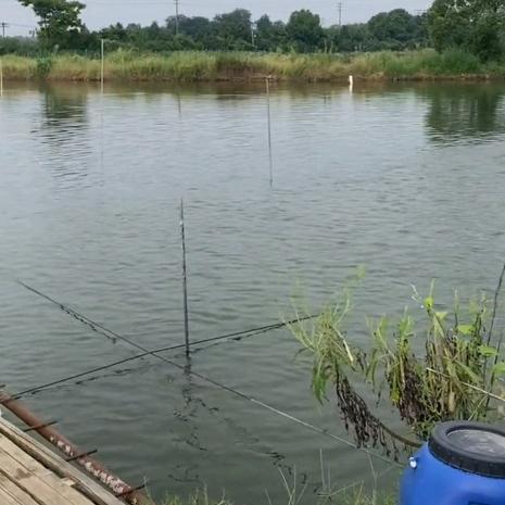 聚福水产优品888