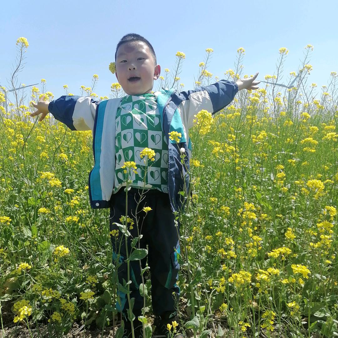 向目标而奋斗