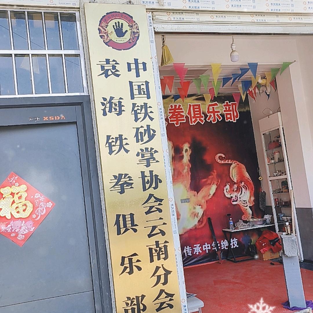 袁海铁拳