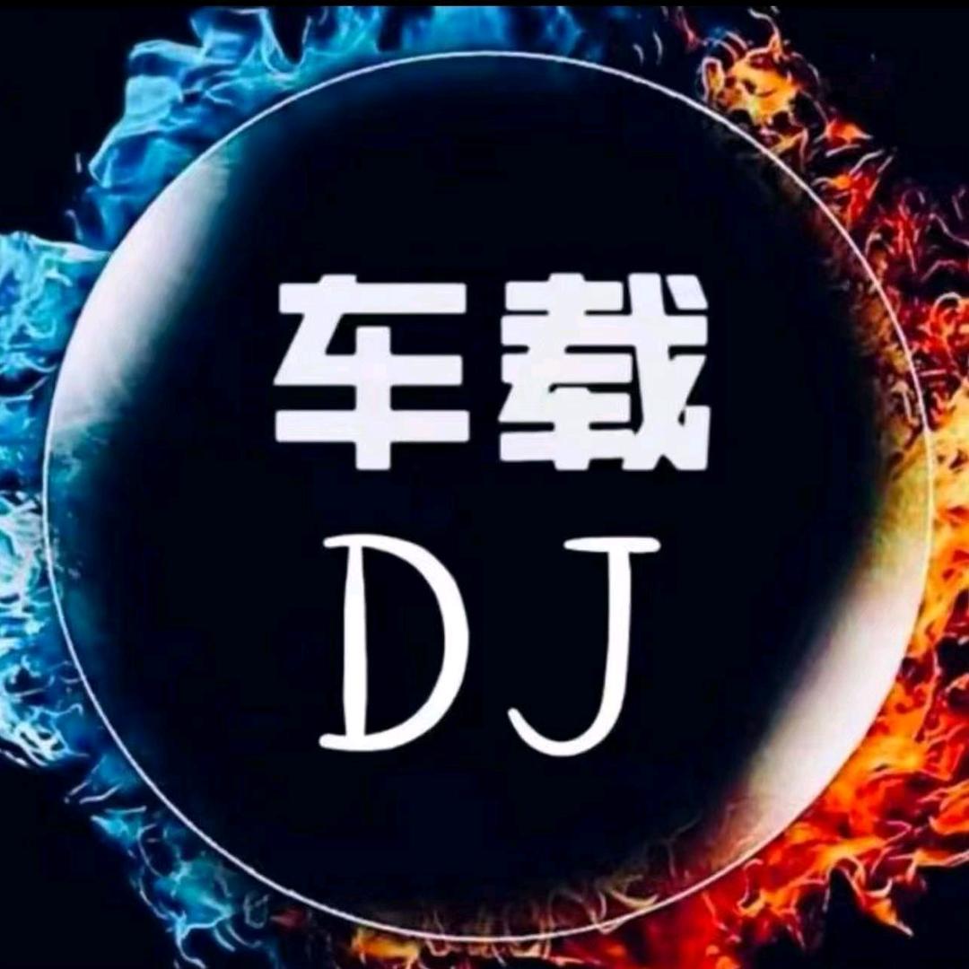 车载音乐 u盘无损音质—高端