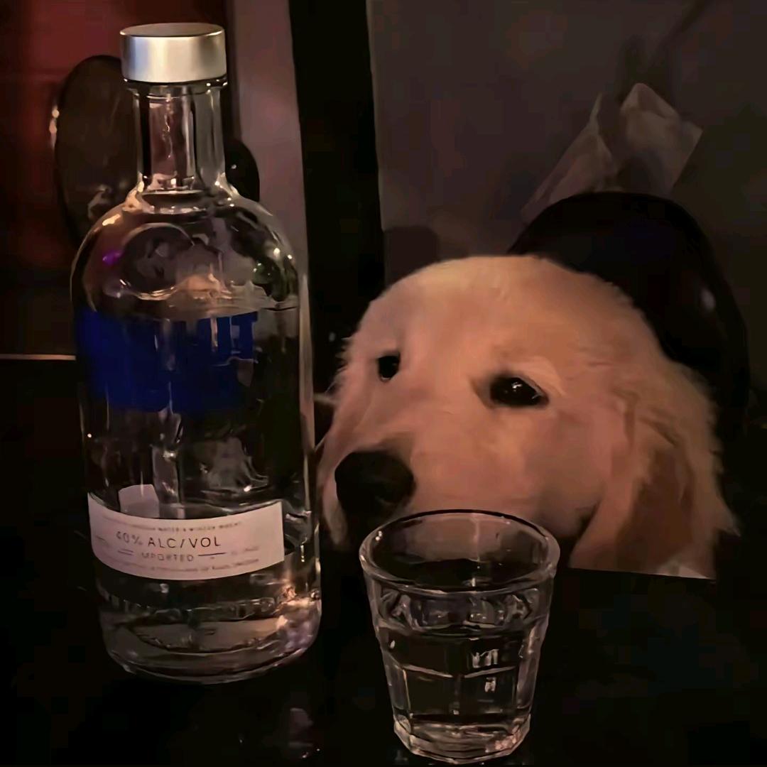 风起爱意散