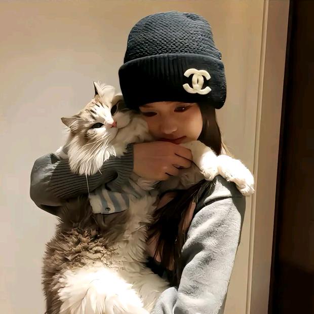 妍言