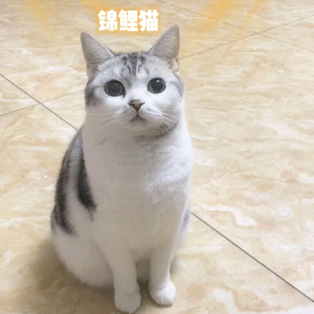 曲终人散