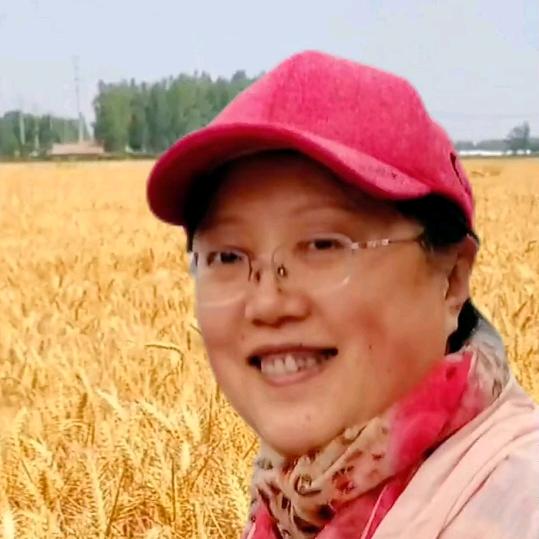 农业植保~村花不是花