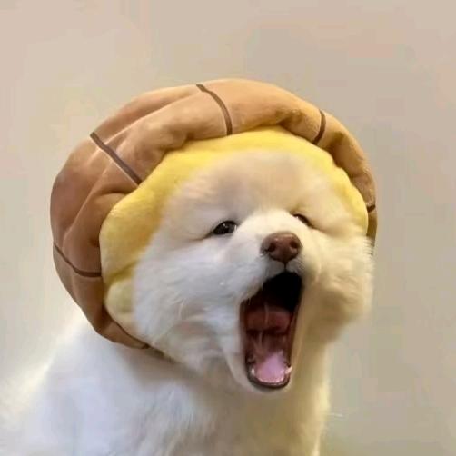 请~不要灰心♬