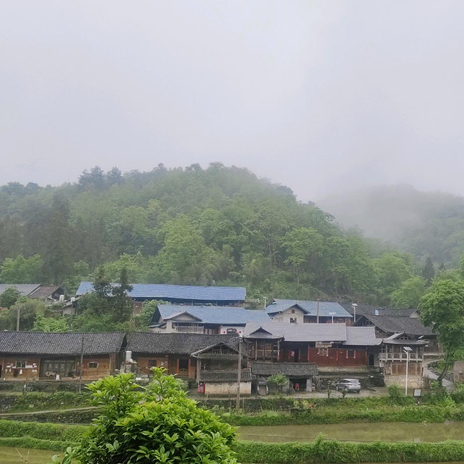 王律