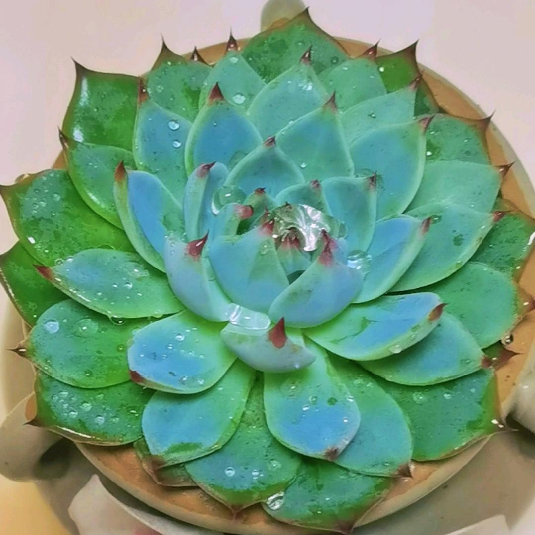 简简单单*