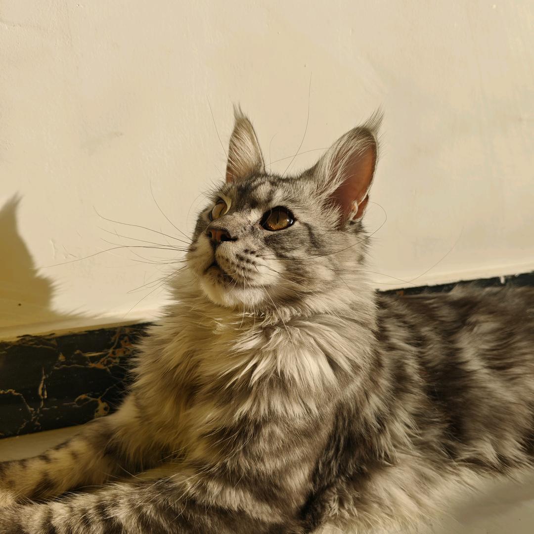 钱都到兜李女士