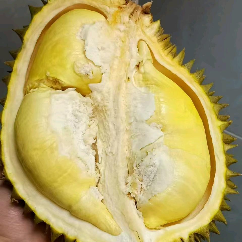 榴你一生，莲你一世