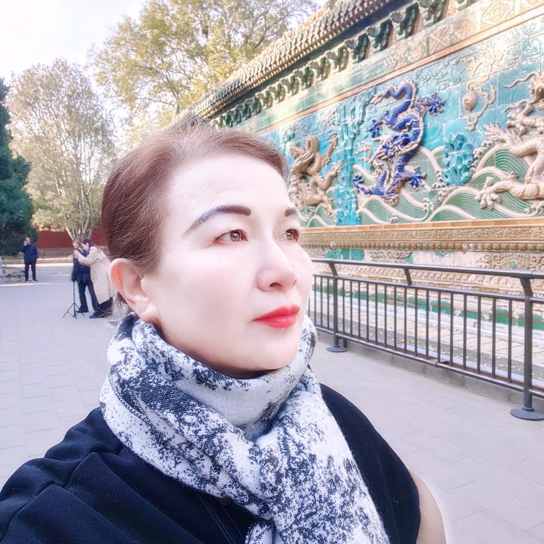 凤舞九天