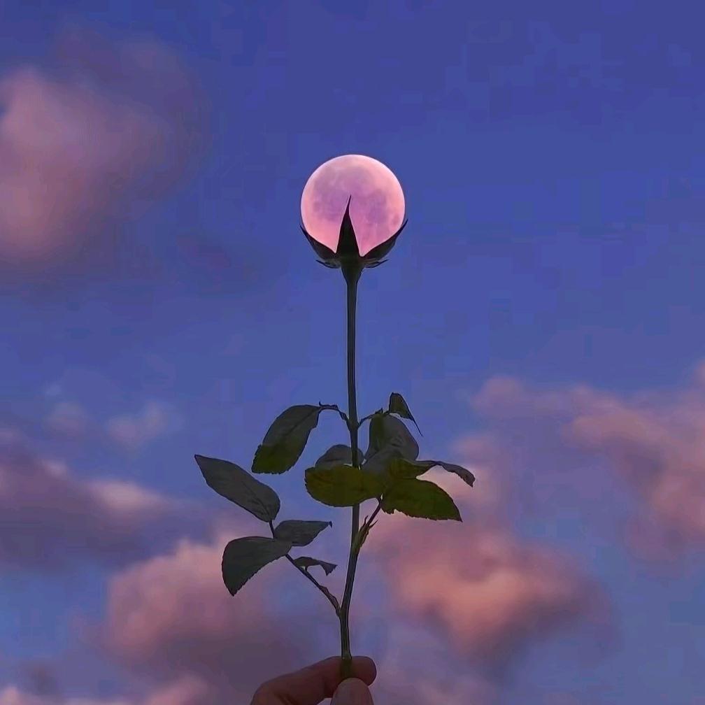 折戟沉沙&招贤纳士