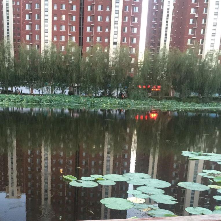 远方思念