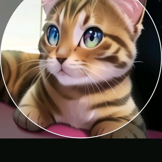 猫🐱届女明星生活日常❤️