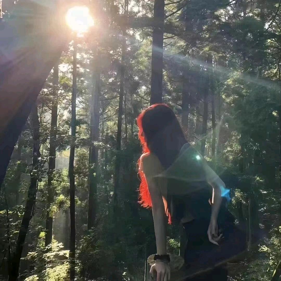 小刘.