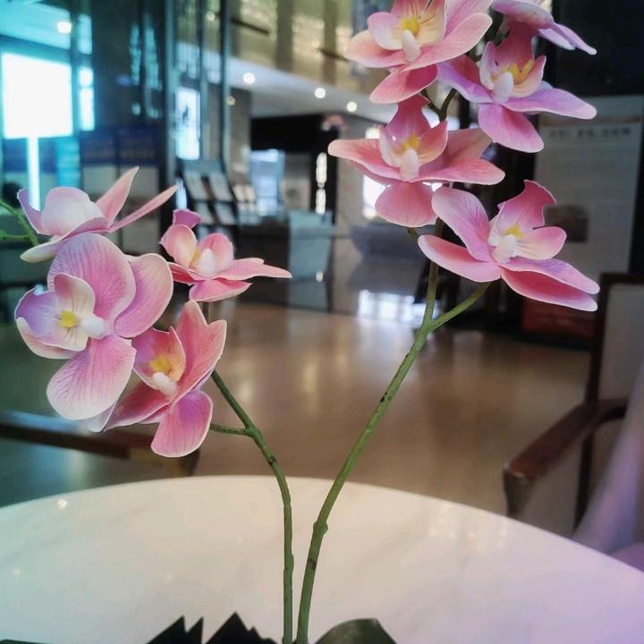 🌨🌹🌷☔️💖没来的好时光