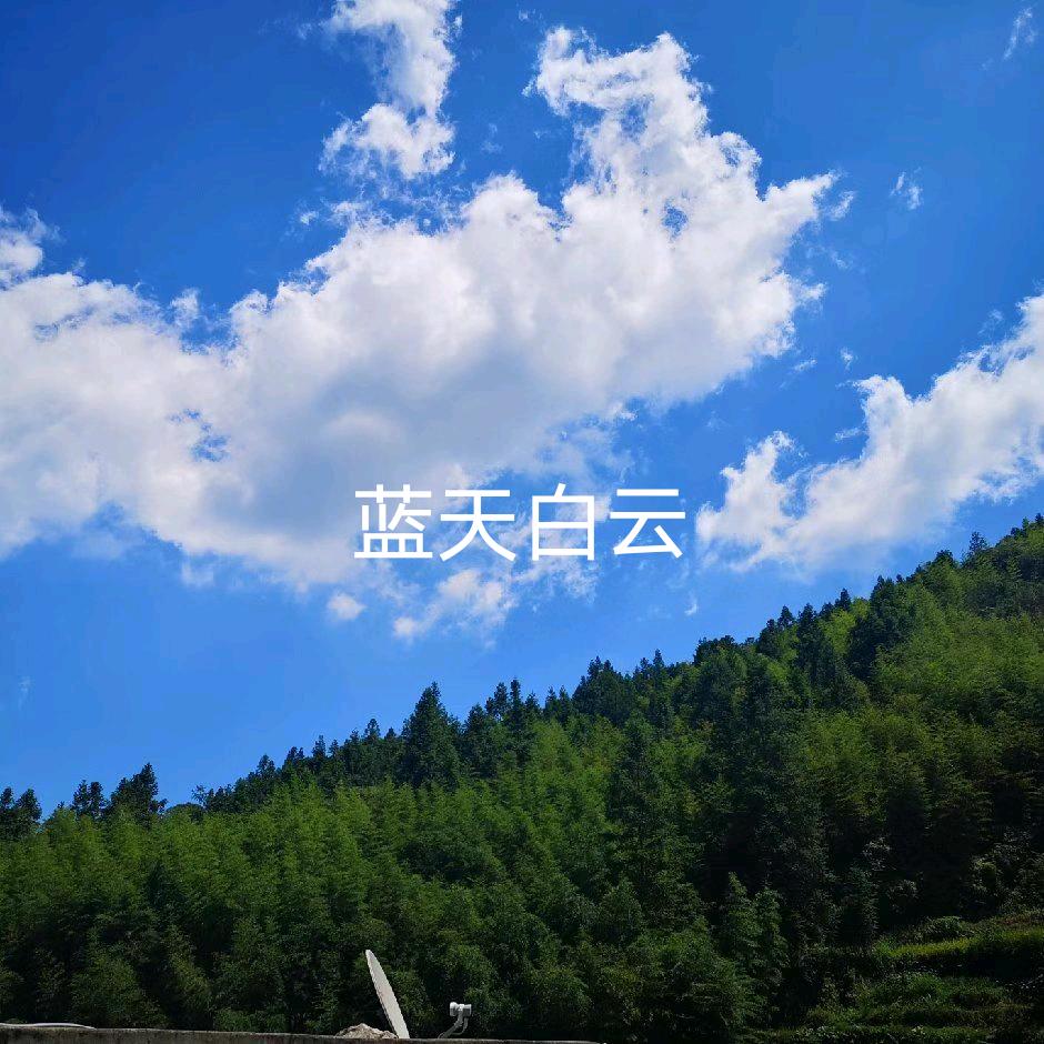 贺肖