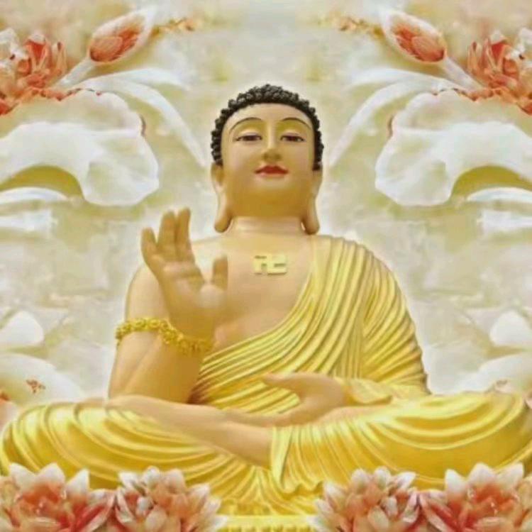 楊哥👉楊哥