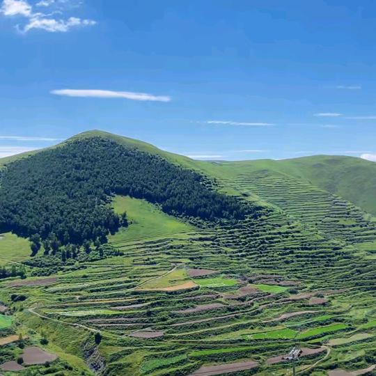 奋斗吧青春