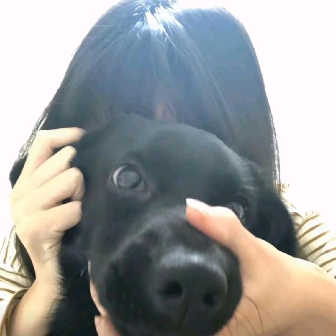 秋水