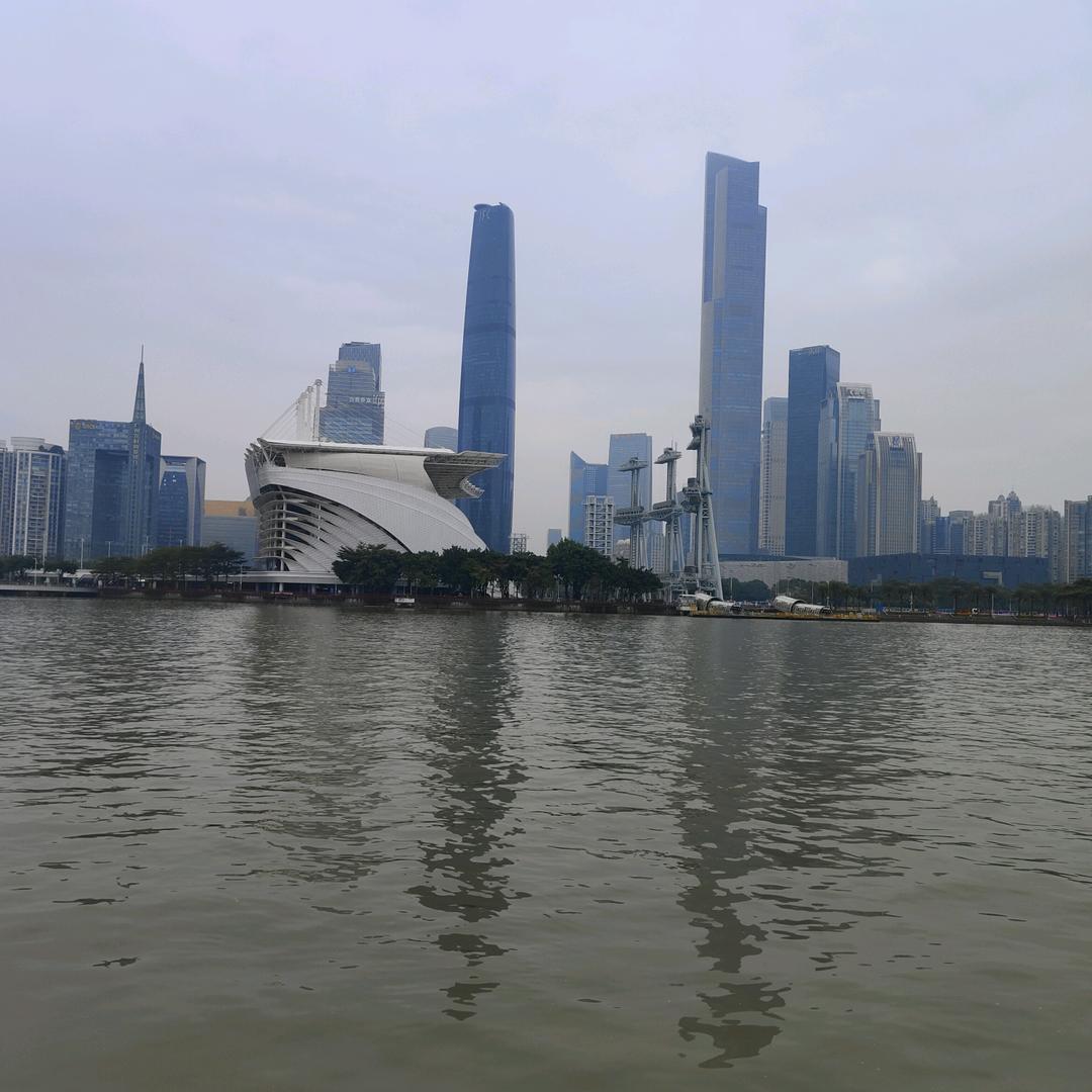 只为你倾心