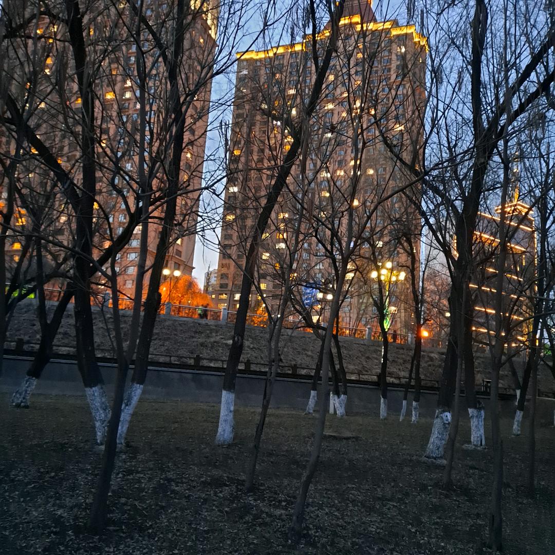 太阳的 河畔