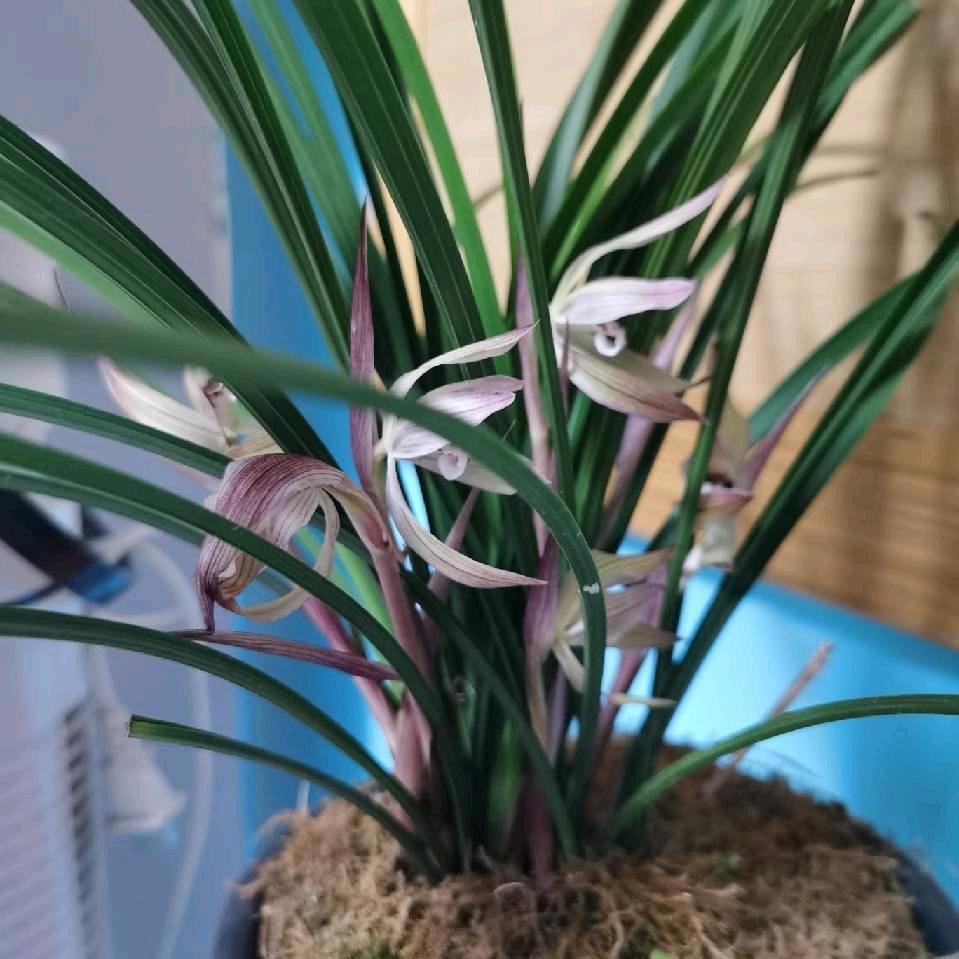 从头开始