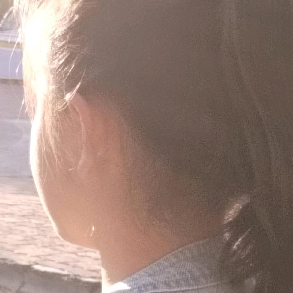 乐乐贺贺妈