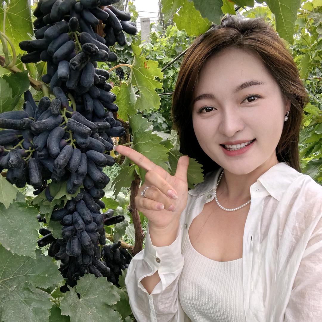 葡萄地的老板娘