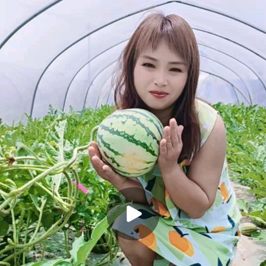 黄玫瑰