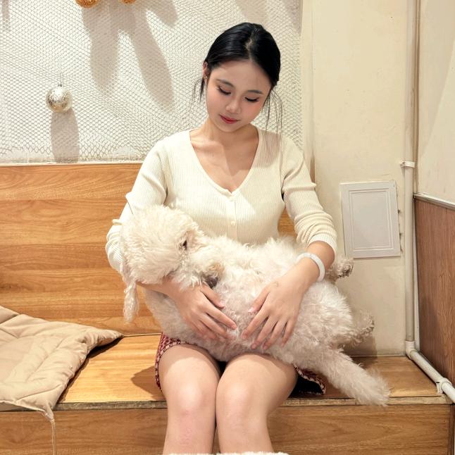 荔枝小狗
