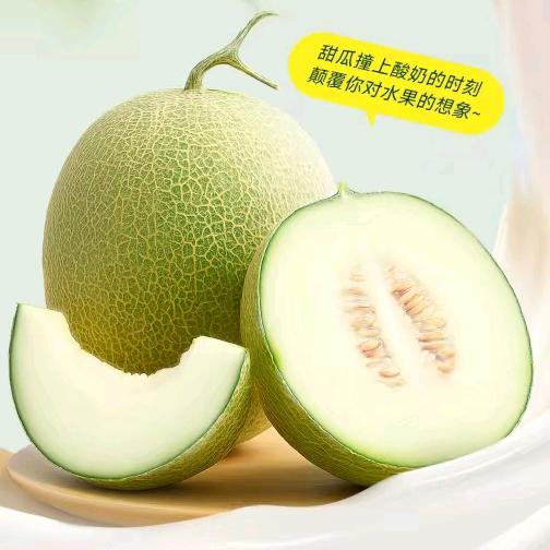 格物婷子