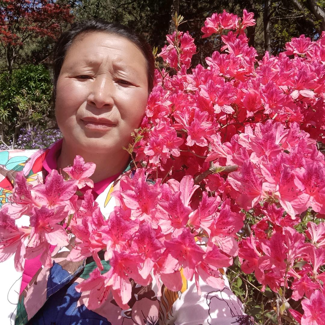 A如意